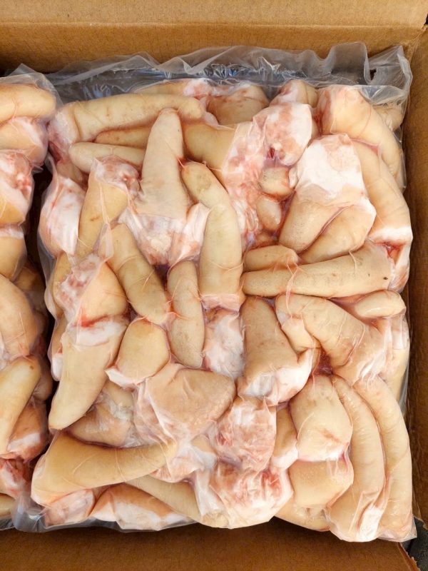 z6388602010035_4fda950f3c66abf8f4e143e83bd792c3