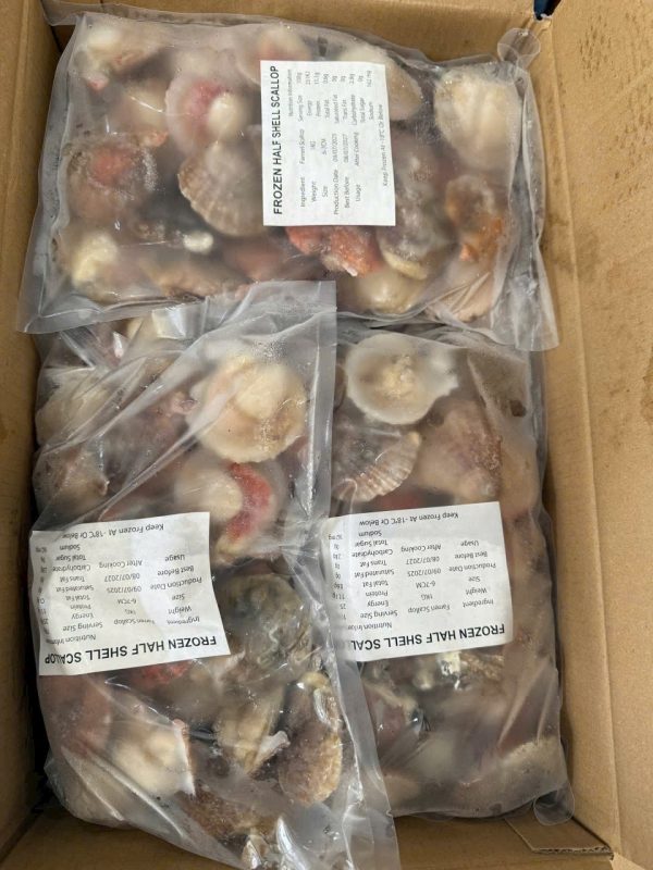 z7147039460874_ffbb7bfa6bc84248fcce62e1a23f5d49